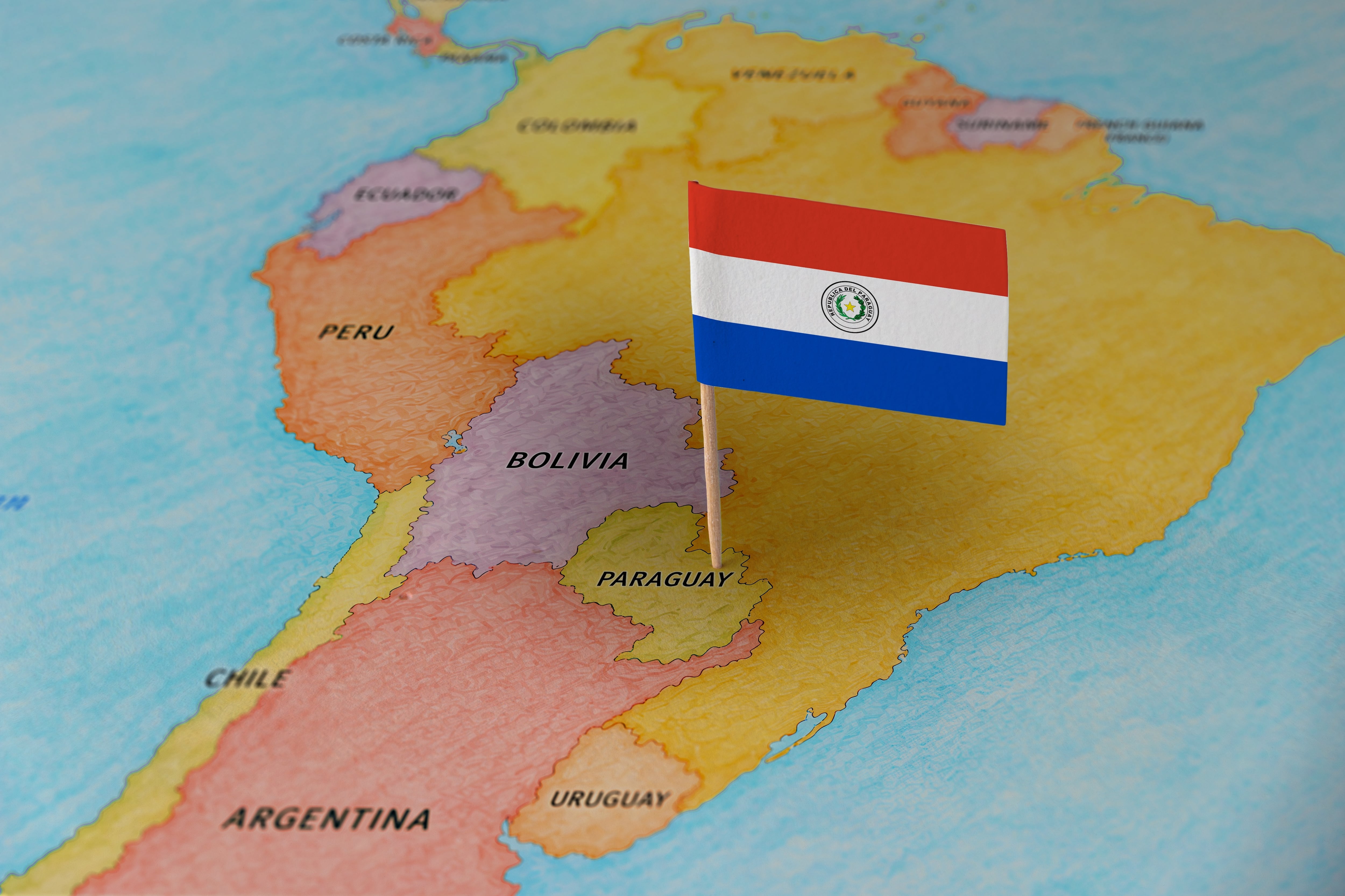 La decisión del Servicio Nacional de Calidad y Salud Animal (Senacsa) llega luego de que Brasil confirmara un foco de Newcastle en una granja comercial de pavos (Foto: Shutterstock)