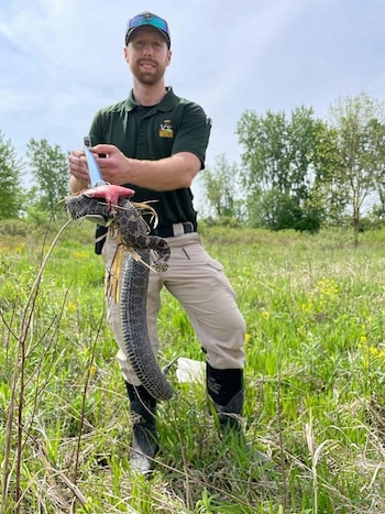 El oficial de vida silvestre