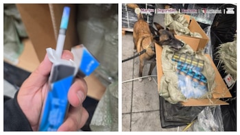 Decomisaron más de 5 mil cigarros en el AICM provenientes de Singapur