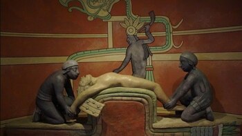 Qué tipo de bebida alucinógena