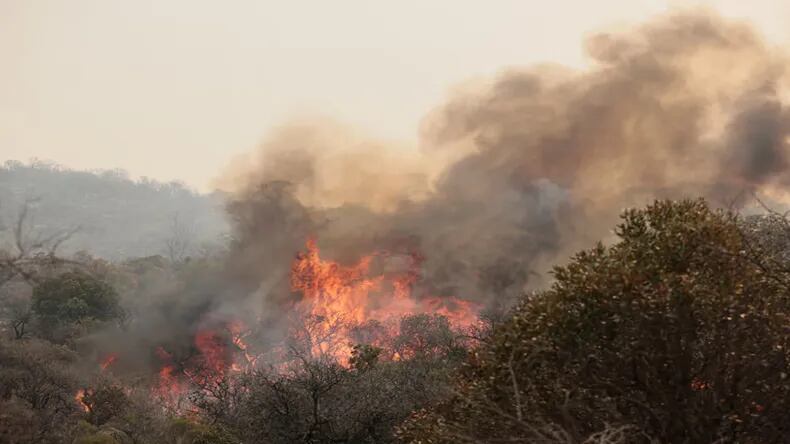 En Jujuy se registran entre 15 y 20 incendios forestales diarios durante agosto y septiembre, según Bomberos (Fotos: Todo Jujuy)