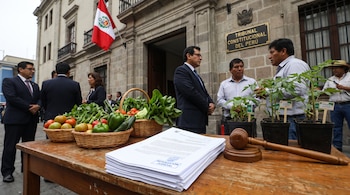 Edificio Tribunal Constitucional Perú, bandera, personas, documentos judiciales, mazo, cestas con tomates, pimientos y verduras, plantas en macetas.