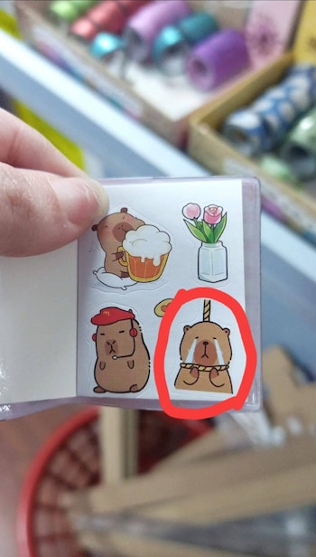 Estas son las ilustraciones que