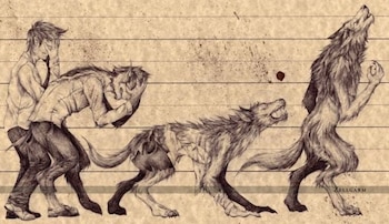 La transformación en hombre lobo.