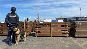 Decomisaron en Chile más de