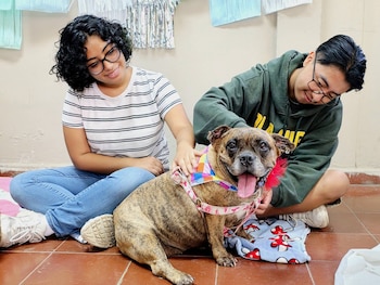 Lanzaron un programa para interactuar con perros y bajar el estrés durante exámenes en El Salvador (Foto cortesía Facultad de Ciencias Agronómicas)