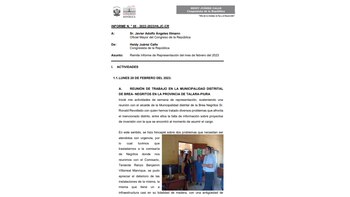 Informe de representación de Heidy