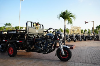 El programa de sustitución VTA