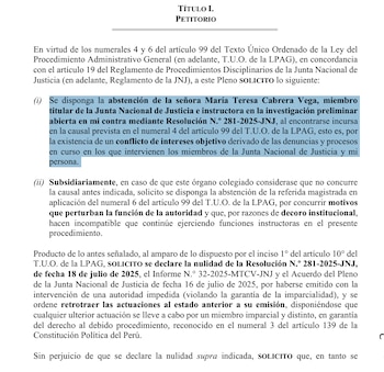 Escrito de Delia Espinoza a la JNJ.