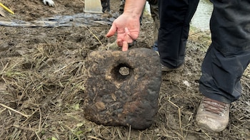 El hallazgo de más de