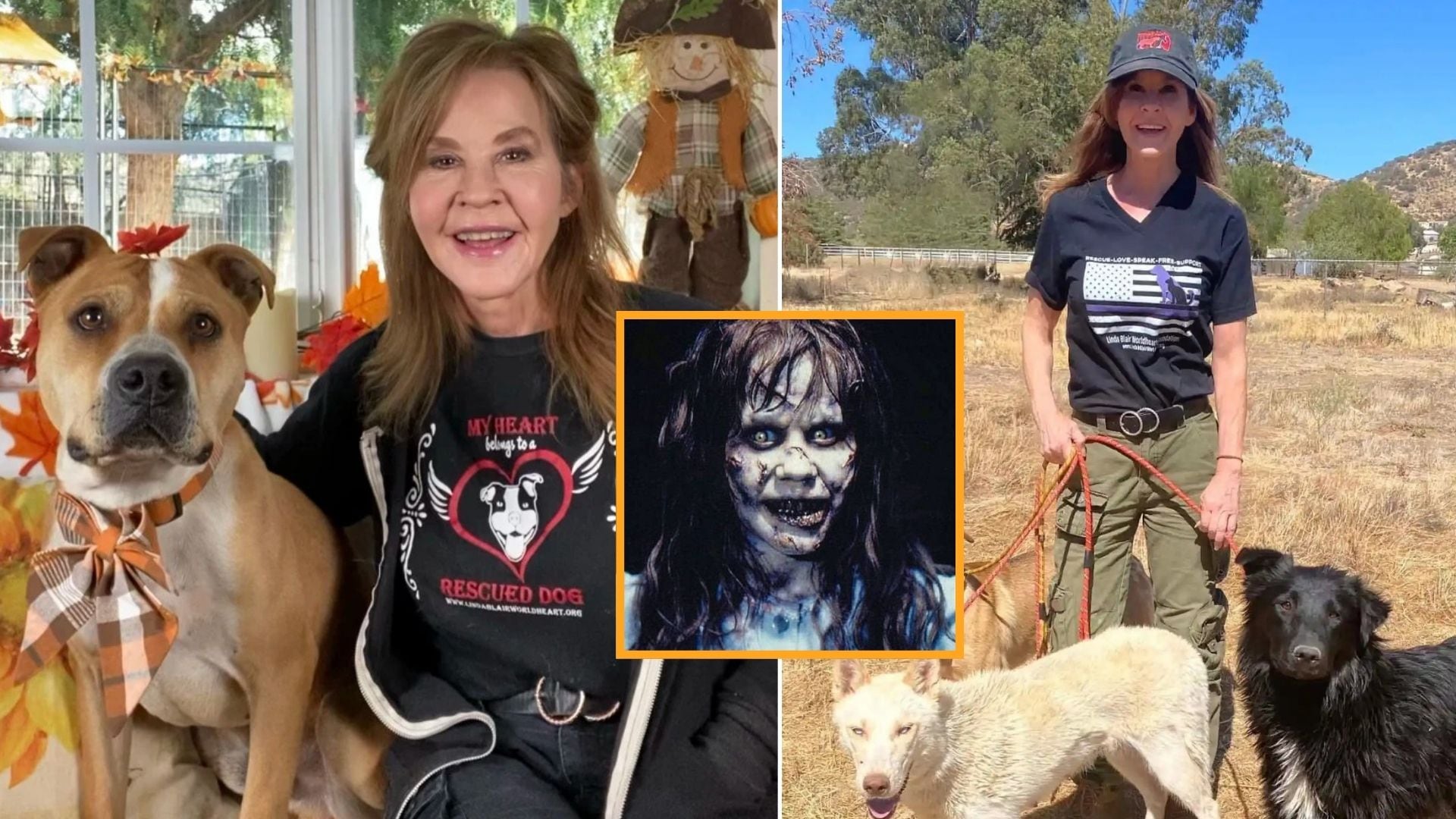 Autoridades inspeccionaron una propiedad de Linda Blair, actriz de ‘El Exorcista’, donde habría más de 100 perros