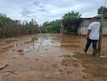 CONRED informó que el desbordamiento del río Boca Nueva causó inundaciones en viviendas de Río Frío, Panzós, y se realizó una evaluación de daños en la zona. (Cortesía: Coordinadora Nacional para la Reducción de Desastres)