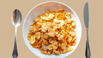 La FAO considera a los