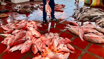 Armada de Colombia interceptó una embarcación venezolana con más de 470 kilogramos de pesca ilegal en el Caribe