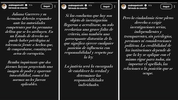 La hija del presidente Gustavo Petro expresó su descontento con la revelación periodística sobre Juliana Guerrero - crédito @andreapetro91/Instagram