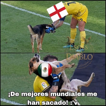 (Redes sociales)