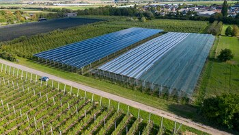 Alemania batió en julio su