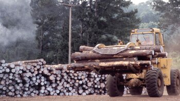 Para Battaleme, las pretensiones ambientalistas