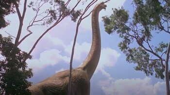 No habían nacido las flores