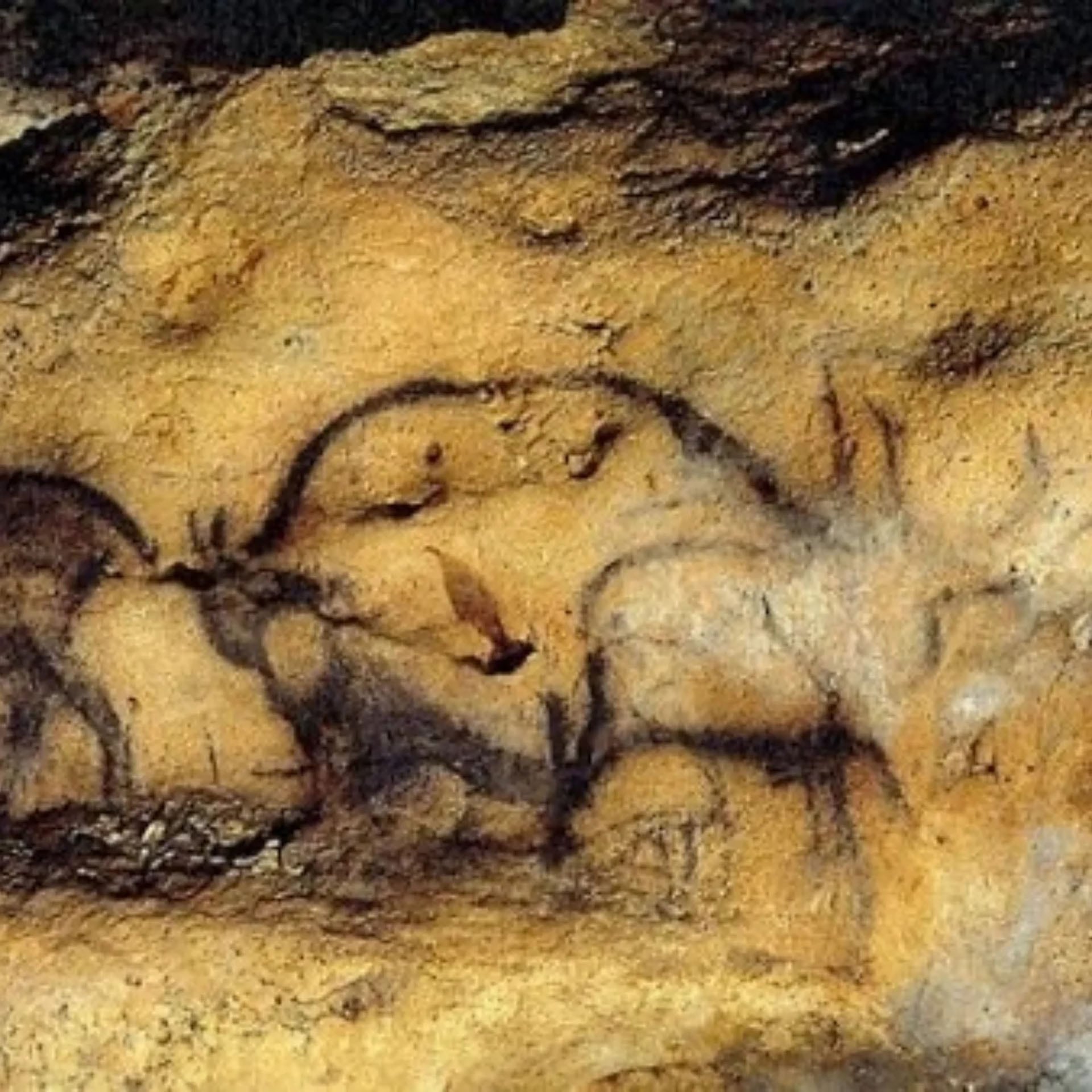 Las representaciones de la cueva francesa Font-de-Gaume, Patrimonio de la Humanidad por la Unesco, datan del Paleolítico superior según el último análisis