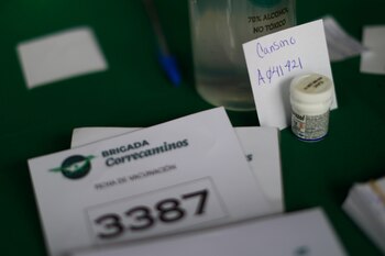 La SRE aseguró que la