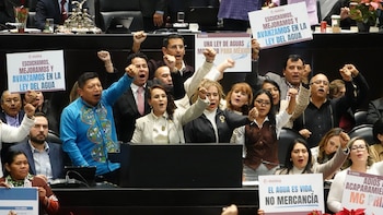 El Pleno de la Cámara