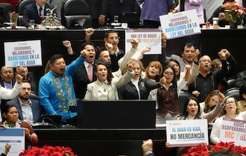 Legisladores de Morena tras una