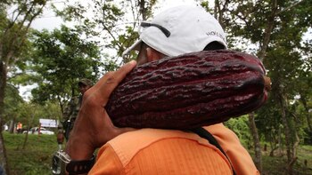 Convocatoria ofrece hasta $600 millones