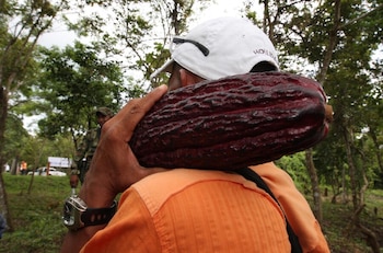 La controversia sobre los precios