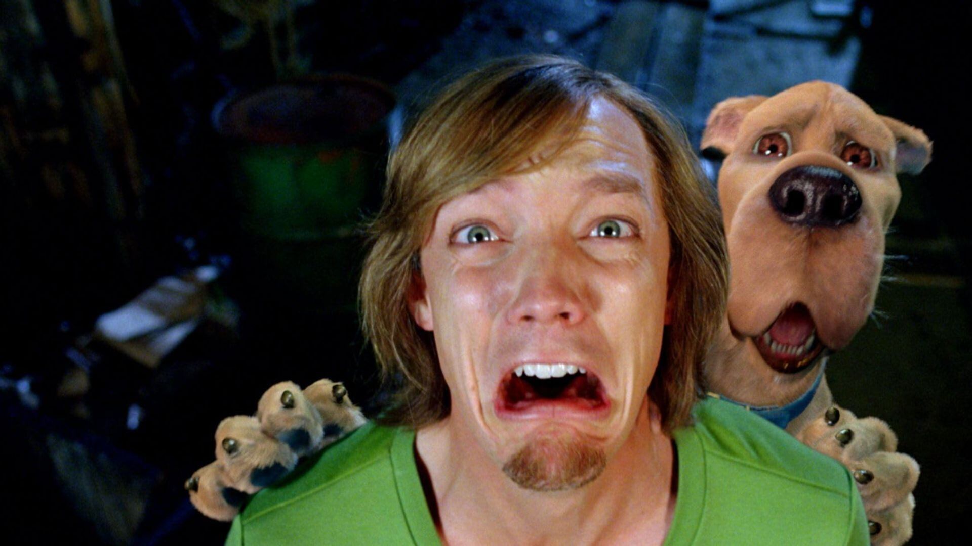 Las películas de Scooby-Doo, protagonizadas por Matthew Lillard como Shaggy, alcanzan hoy una popularidad superior a la época de su estreno original debido a la nostalgia (Warner Bros.)