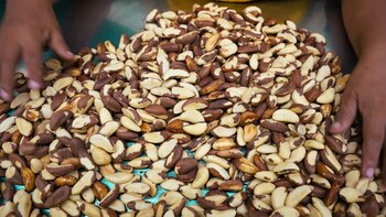 La promoción de productos derivados