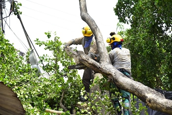 - crédito Alcaldía de Valledupar