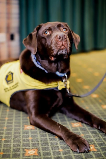 La iniciativa pionera en Ushuaia