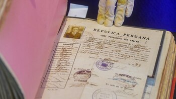 La colección permite analizar las