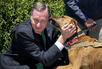 La definición de perro de