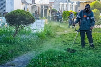 Realizarán poda de formación en árboles y ramas que puedan representar un riesgo. (Foto: Alcaldía de San Salvador Centro)