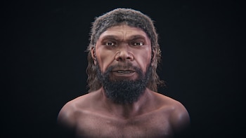 Cómo era el rostro de un ser humano hace 315 mil años: la reconstrucción digital que revela el aspecto del Homo sapiens más antiguo
