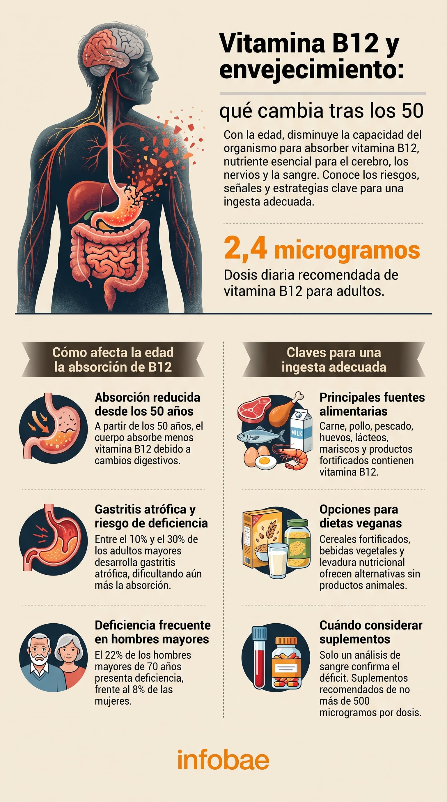 Los alimentos de origen animal y los productos fortificados se encuentran entre las principales fuentes de vitamina B12 (Imagen Ilustrativa Infobae)