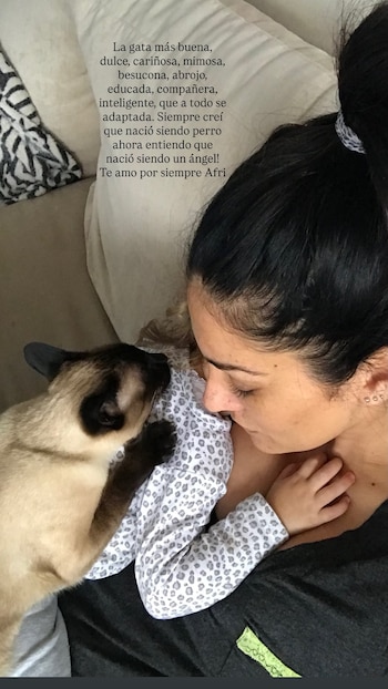 Una mujer de cabello oscuro recostada en un sofá, con una gata siamesa de pelaje crema y puntos oscuros apoyada tiernamente en su pecho