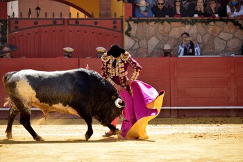 El torero español Juan Serrano