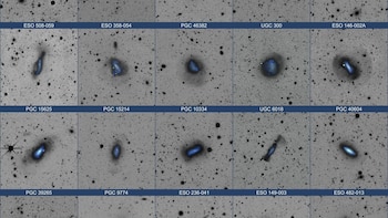 Nuevas evidencias de que las