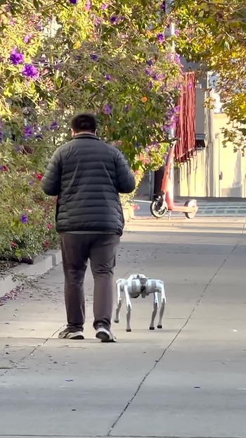 An still image from a video provided by Adam McCue, a resident who spotted a human walking a four-legged mechanical ward declared San Francisco a weird city that is only getting weirder. A San Francisco start-up posted a strange job opportunity. It was hiring people to walk robot dogs. No experience necessary.(Adam McCue via The New York Times) -- NO SALES; FOR EDITORIAL USE ONLY WITH NYT STORY ROBOT DOG WALKERS BY KASHMIR HILL FOR OCT. 27, 2026. ALL OTHER USE PROHIBITED. --