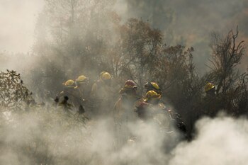 Los incendios en Los Ángeles