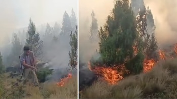 Incendio forestal imparable en Lambayeque: