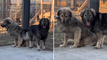 La conexión entre los dos