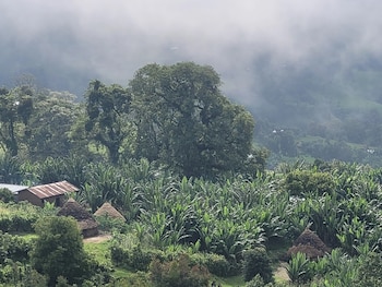 Chozas con techos de paja entre plantas de plátano, grandes árboles y montañas cubiertas por niebla al fondo