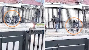 Impresionante video de violento asalto en Bogotá: delincuentes golpearon y despojaron de sus pertenencias a una mujer que pedía auxilio a gritos