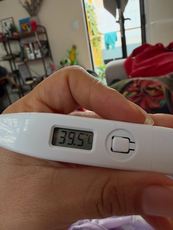Una mano sostiene un termómetro digital de color blanco que muestra una cifra de 39,5 grados Celsius