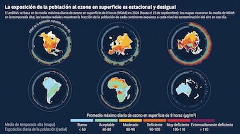 Infografía con seis mapas continentales en círculos rodeados por gráficos radiales multicolor sobre fondo azul, con una escala inferior.
