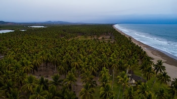 Vista aérea de una plantación de palmeras. Una franja de playa de arena bordea el océano. Un lago interior y montañas se ven a la distancia. Cielo gris